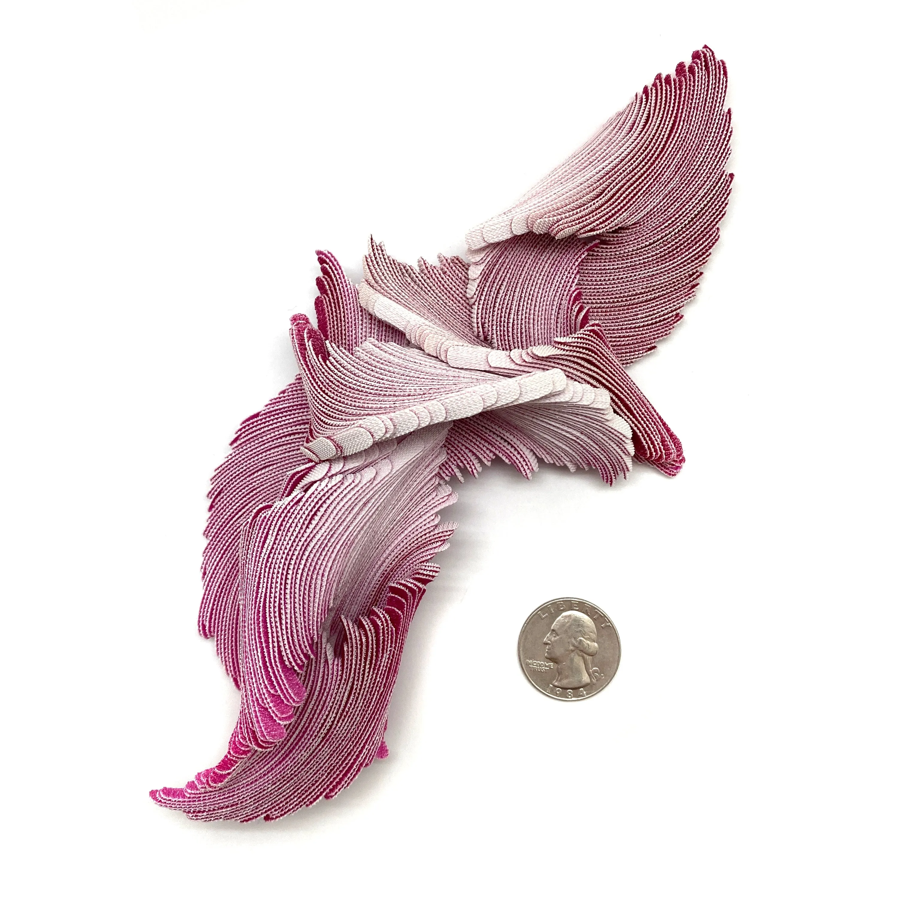From a Carpodacus Erythrinus No.1
