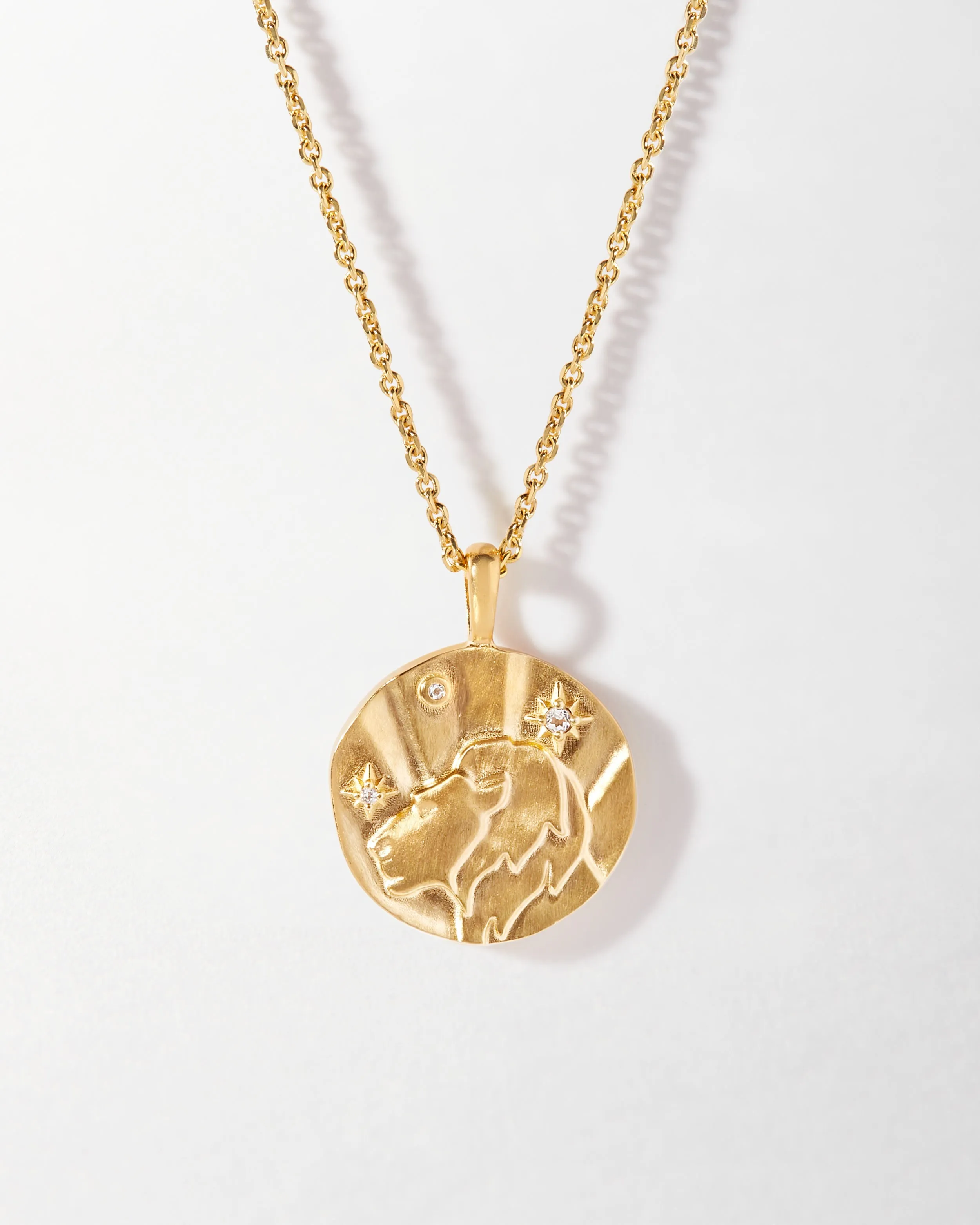 Leo Zodiac Necklace