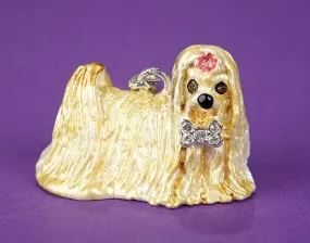 Maltese and Bone Brooch