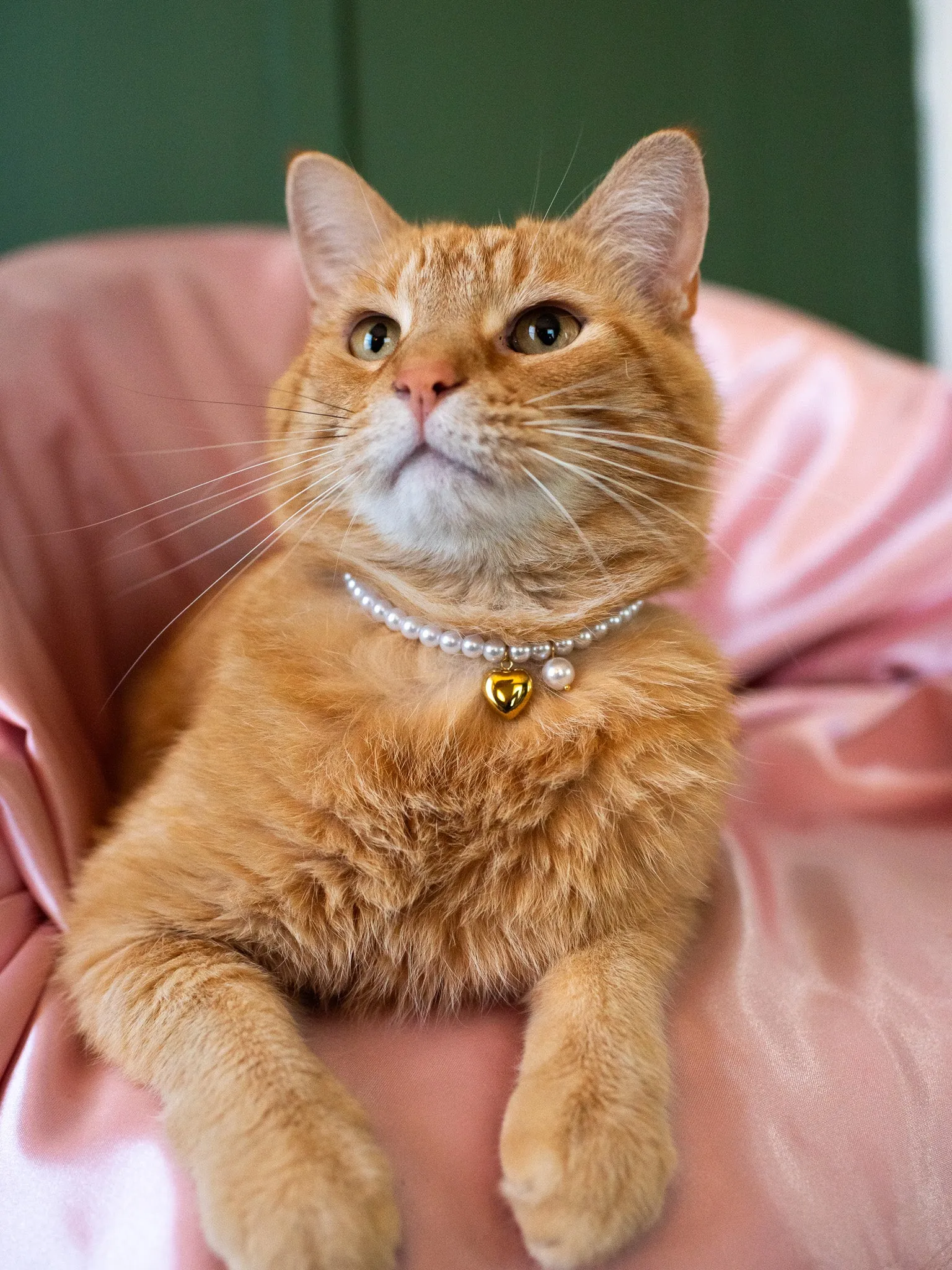 Matching Pet   Human Necklace Set