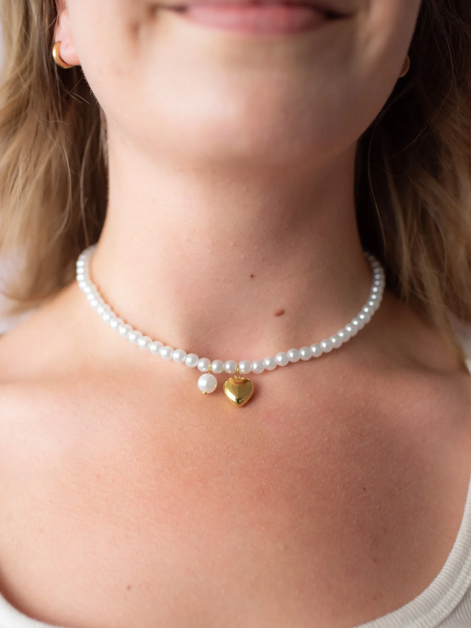 Matching Pet   Human Necklace Set