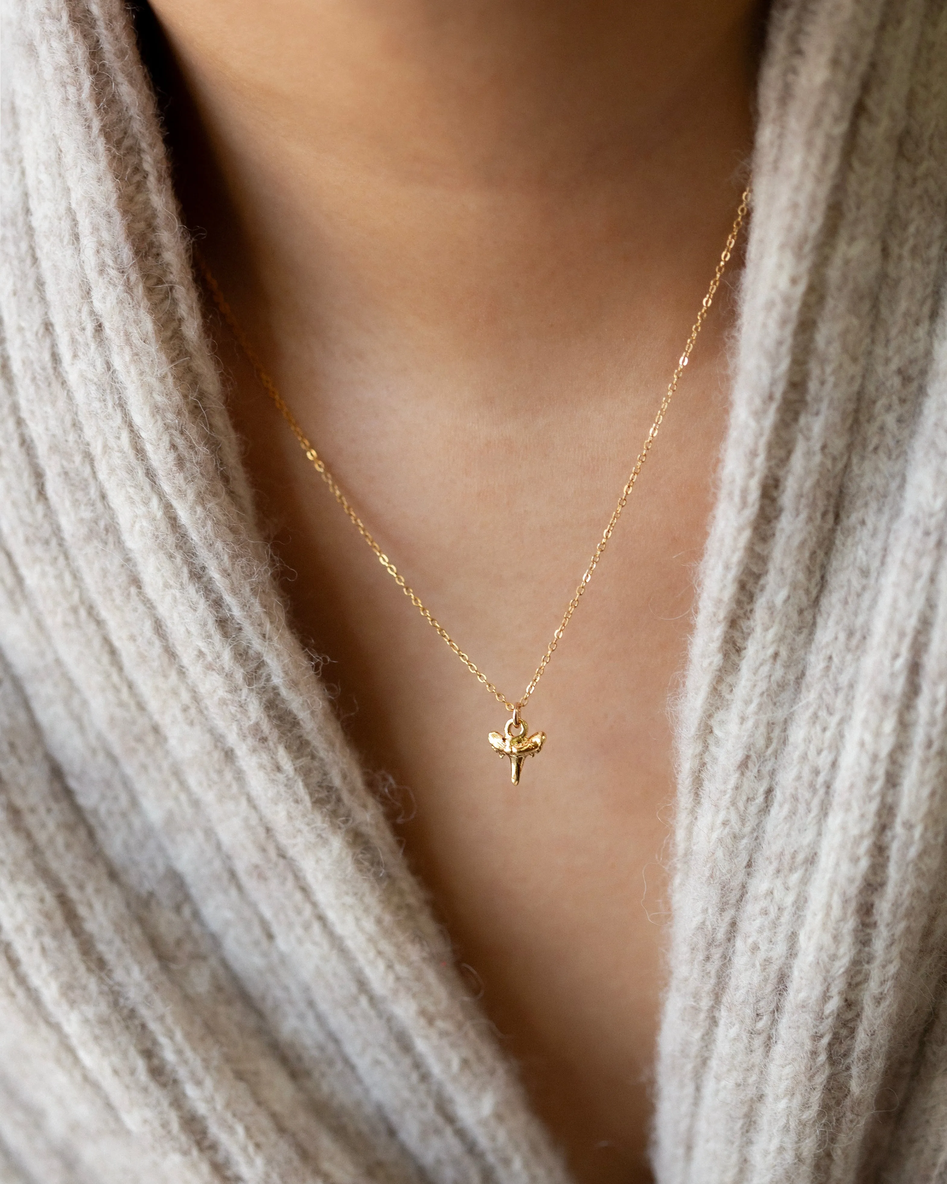 Shark tooth Necklace