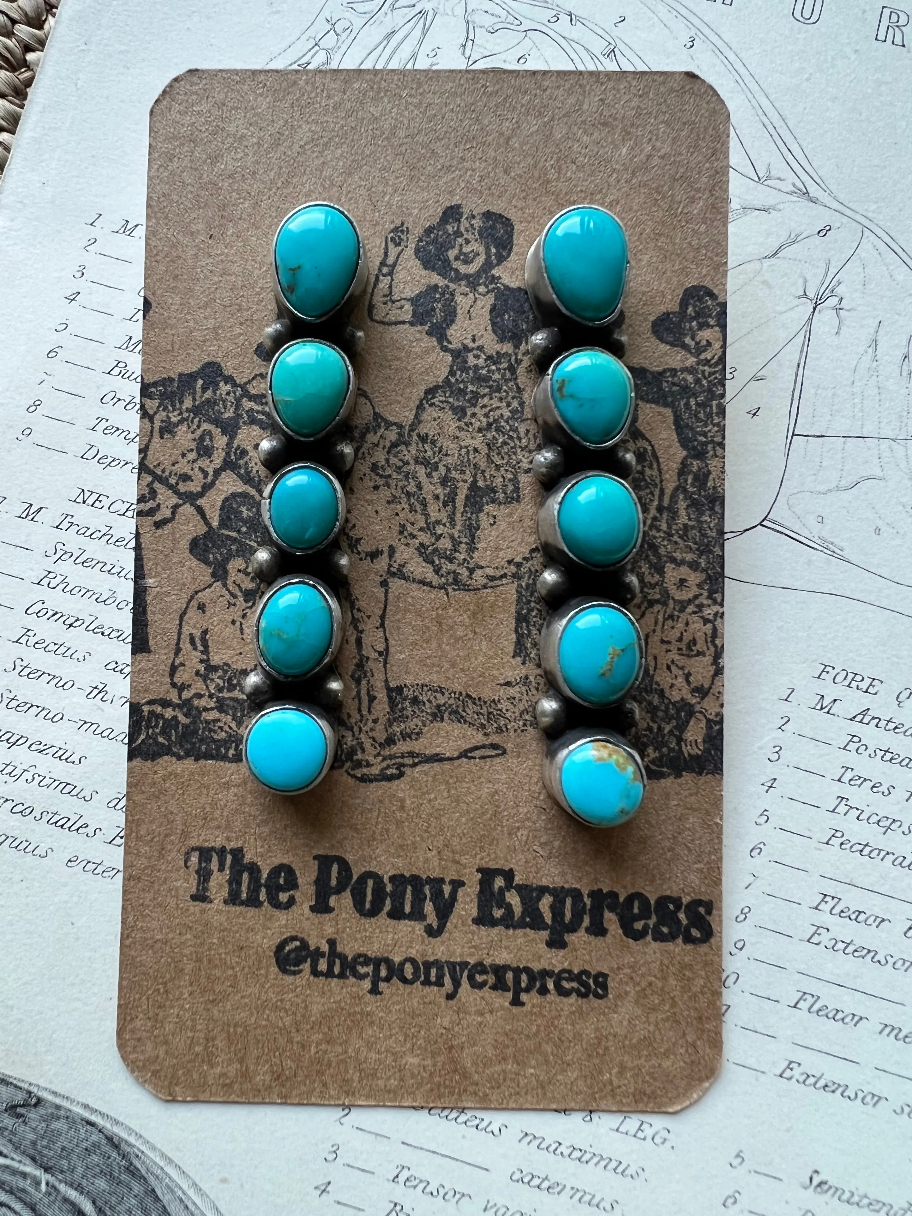 Spur 5 Stone Kingman Turquoise Earrings