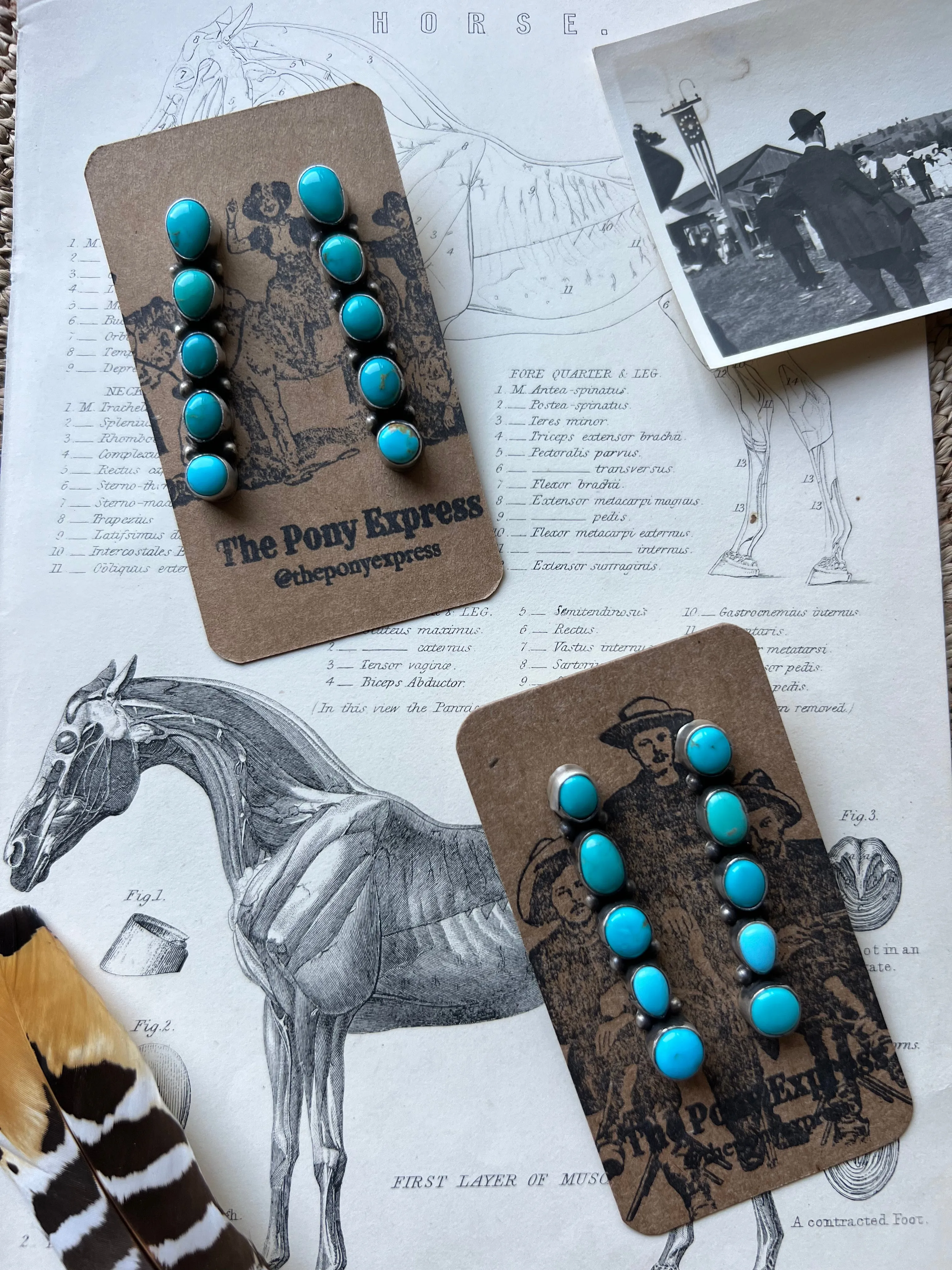 Spur 5 Stone Kingman Turquoise Earrings